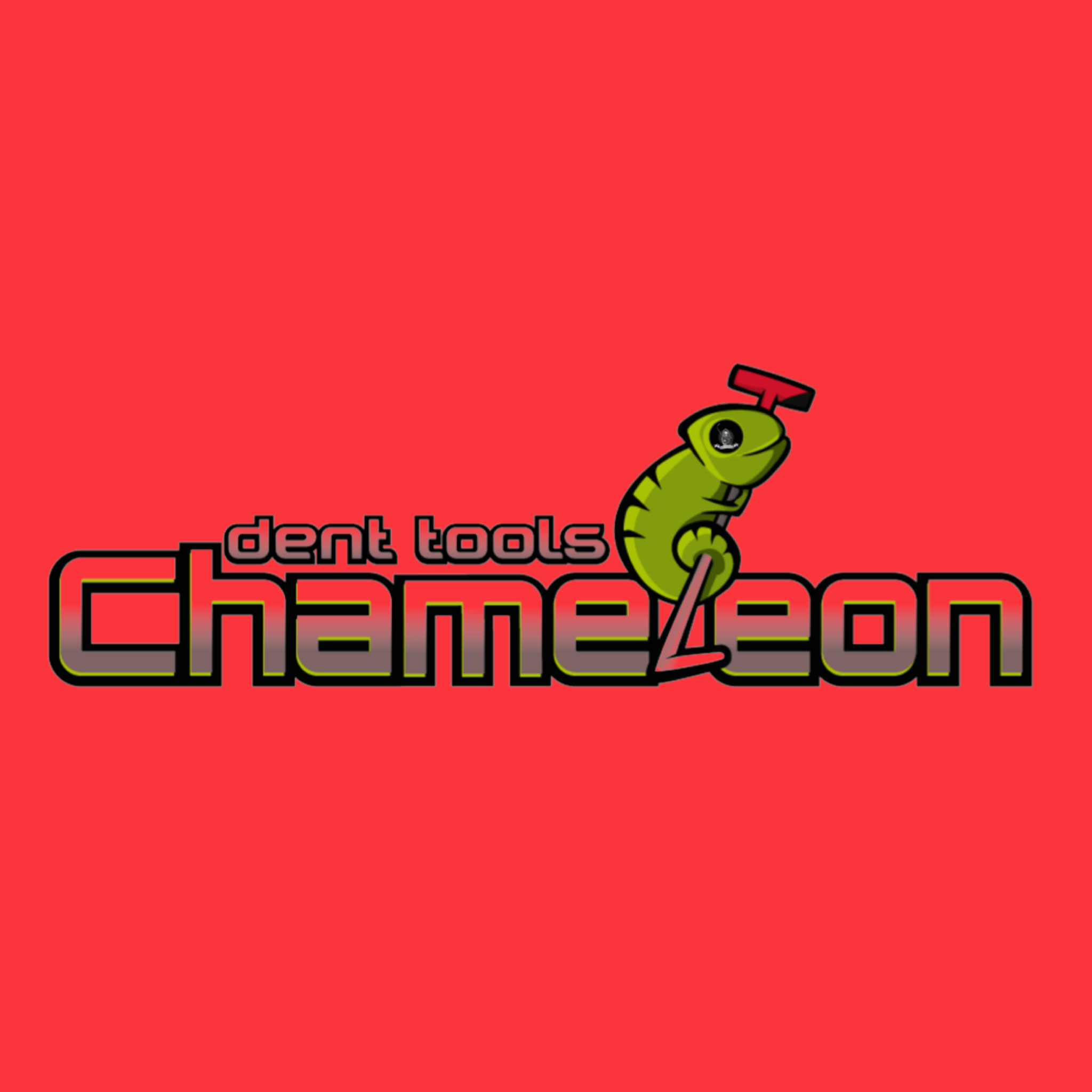 Chameleon Sharp Tip Fixed Handle 48"